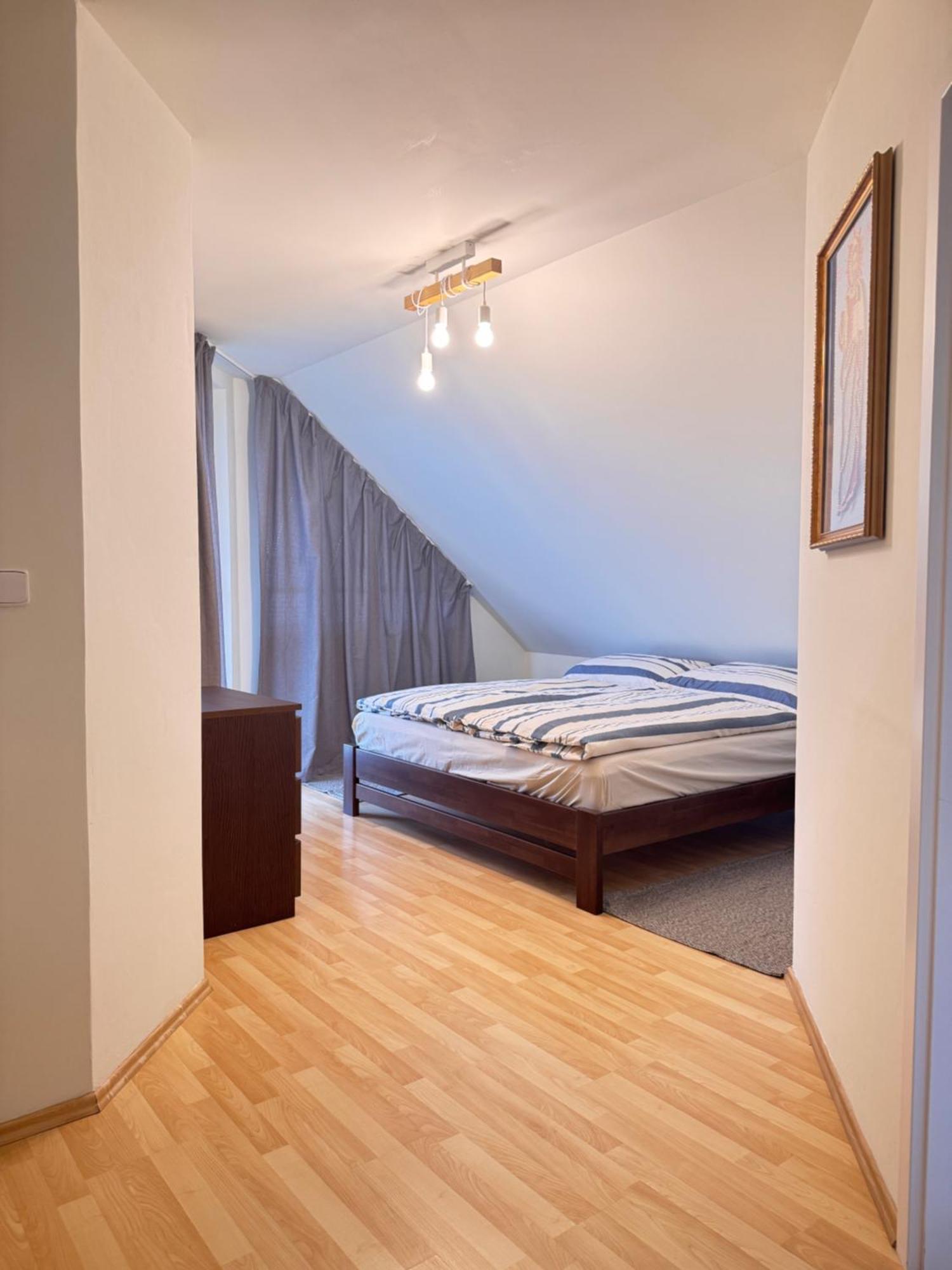 Diamondvilla, 4 Bedroom Apartment, Garden & * 布拉格