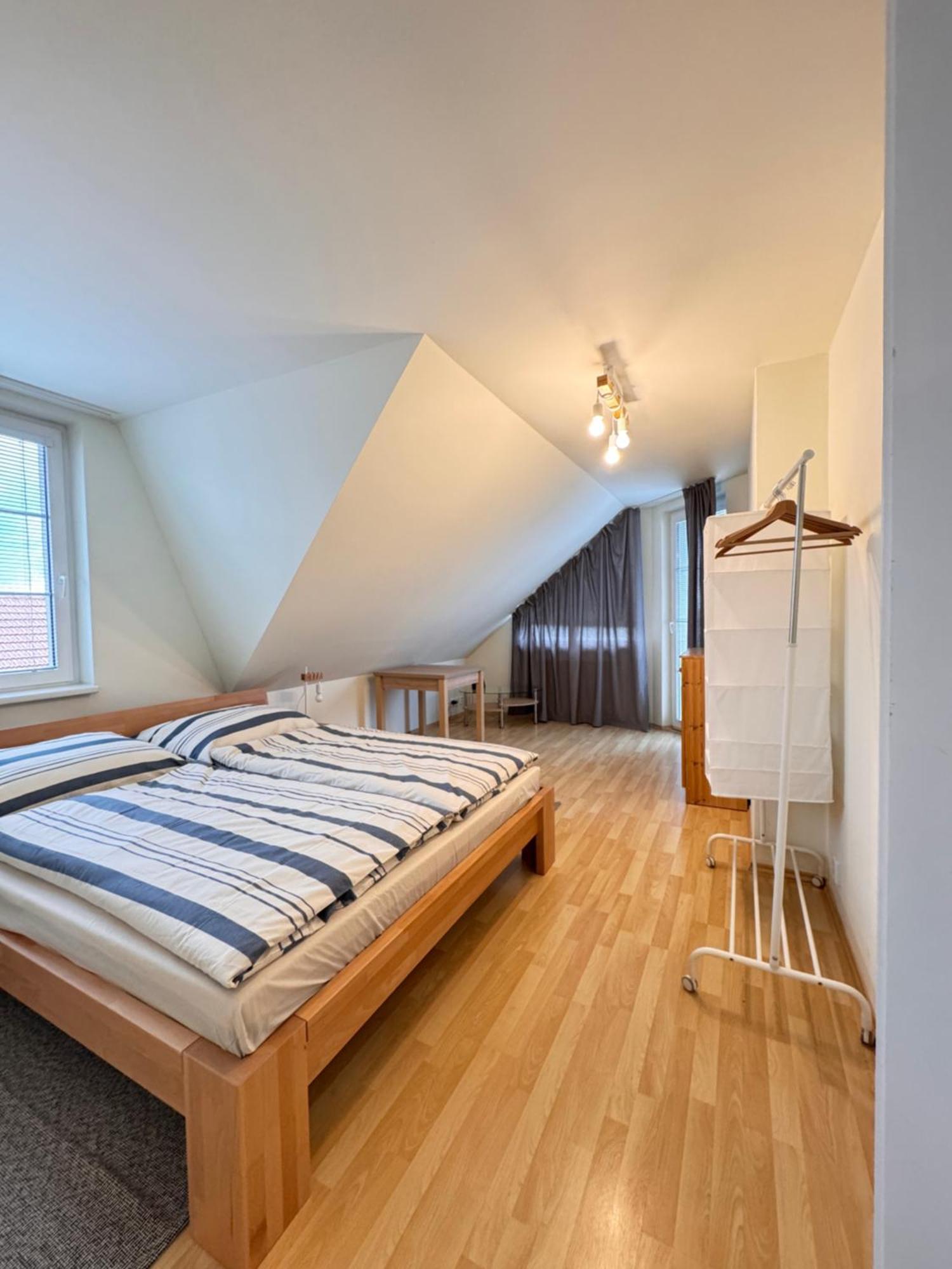 Diamondvilla, 4 Bedroom Apartment, Garden & 布拉格