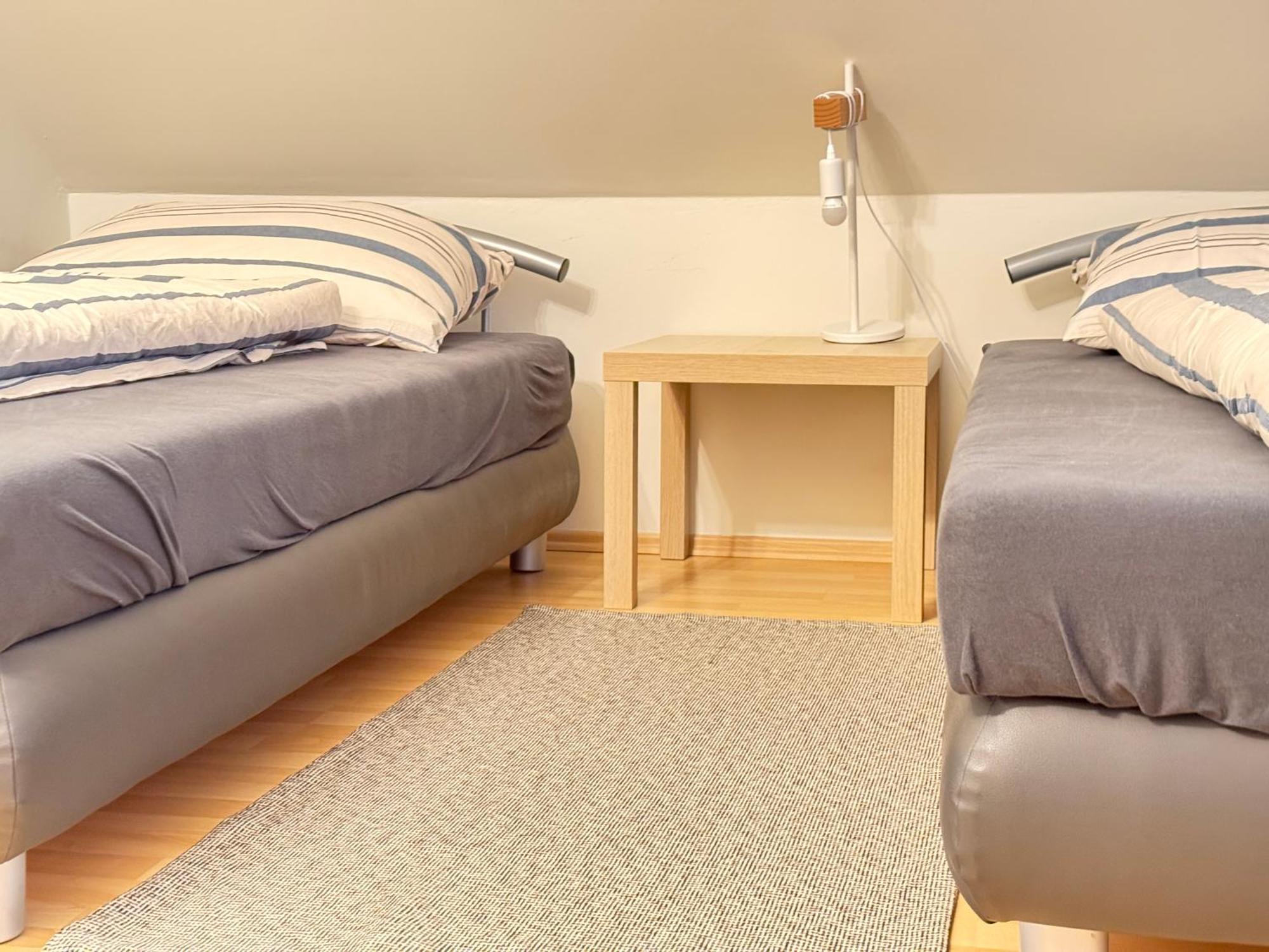 Diamondvilla, 4 Bedroom Apartment, Garden & 公寓 布拉格