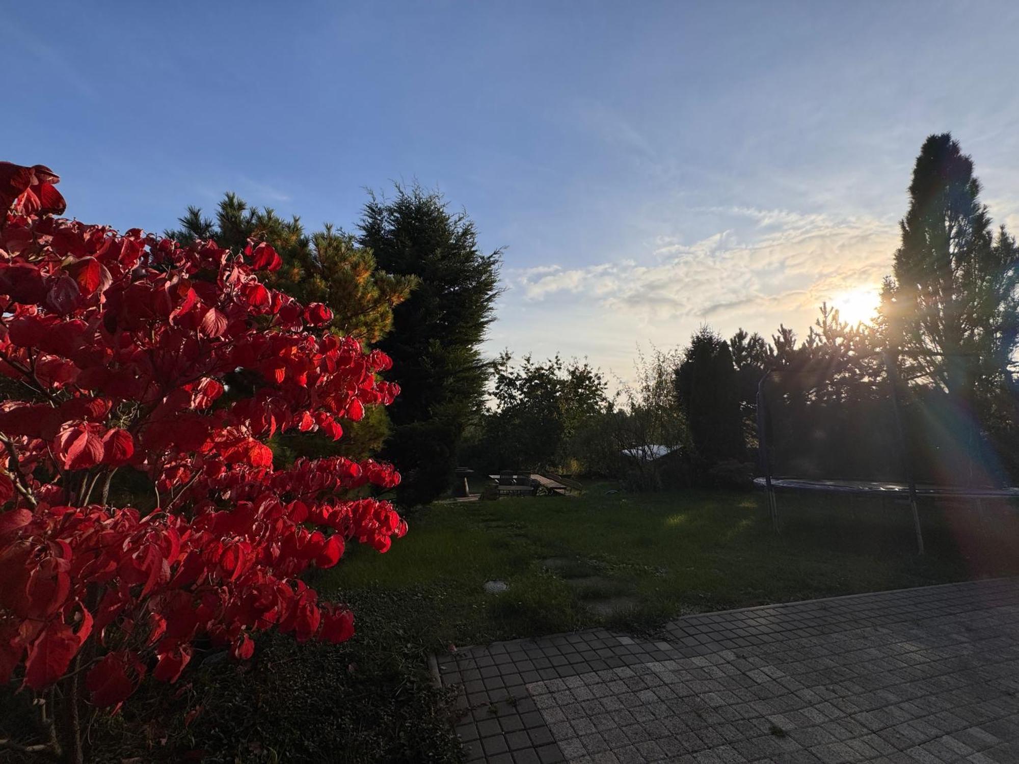 Diamondvilla, 4 Bedroom Apartment, Garden & Apartament *