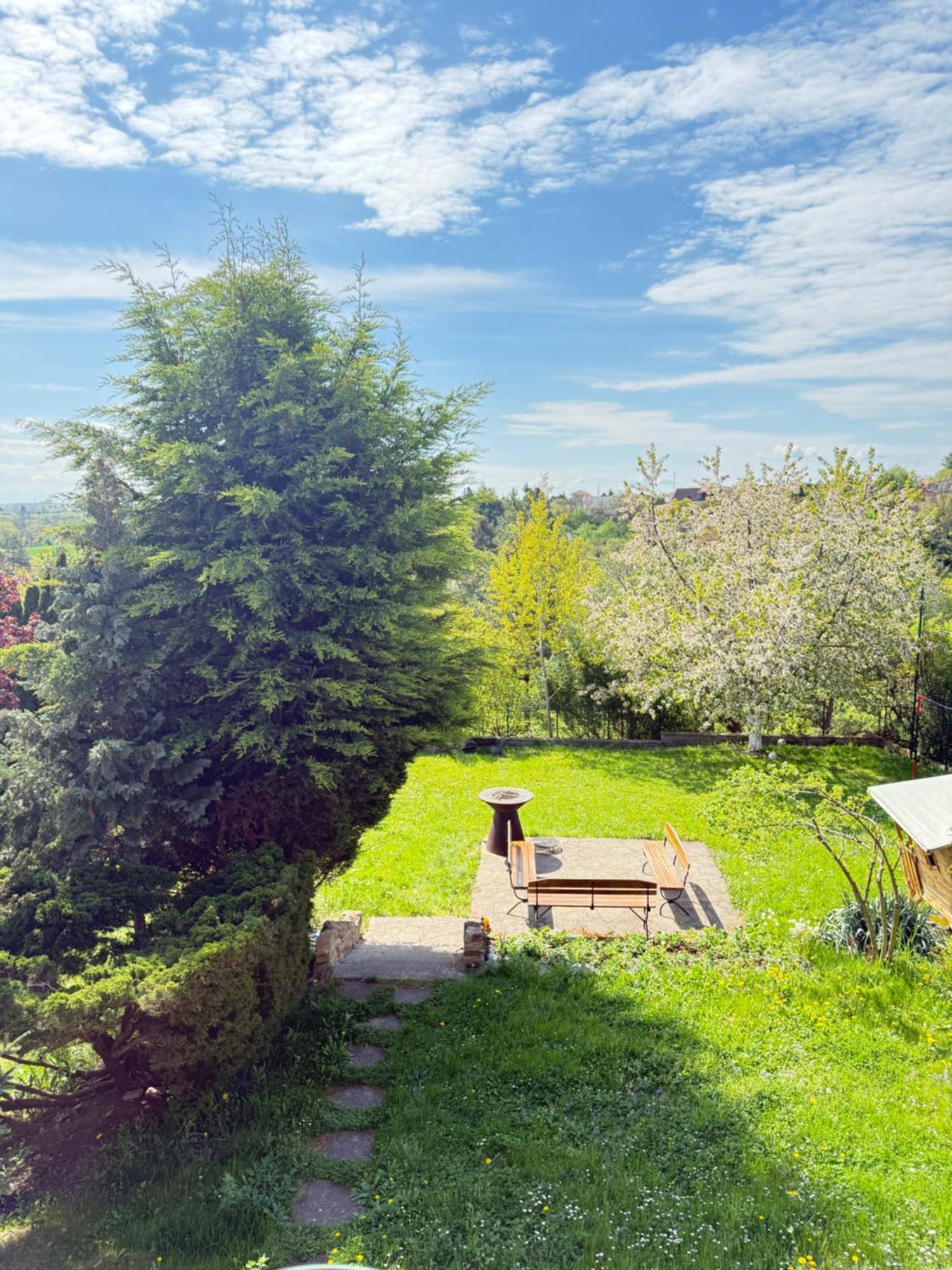 Apartament Diamondvilla, 4 Bedroom Apartment, Garden & *